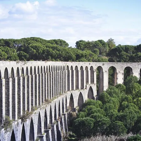 Tomarhousing - Style Tomar