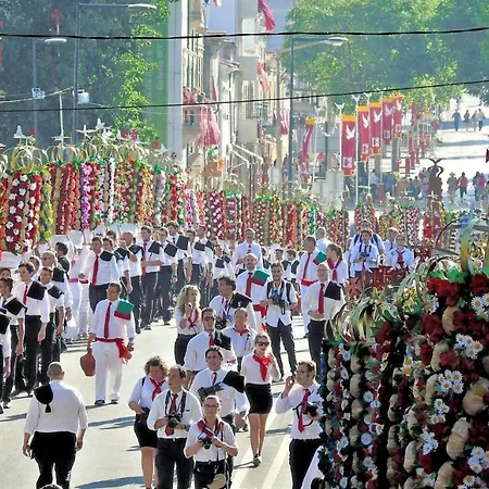 Tomarhousing - Style Апартаменты *