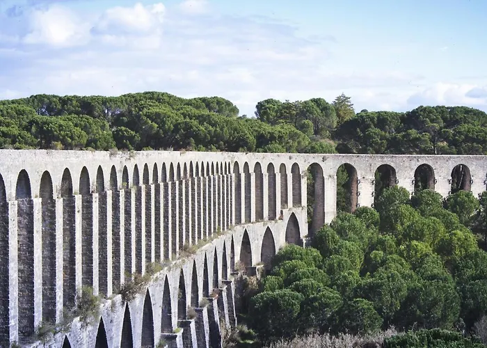 Tomarhousing - Style Tomar